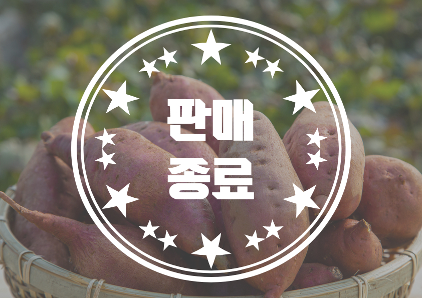 [사색사촌] 캐고, 만들고, 맛보다 (고구마 수확, 고구마 피자) 이미지
